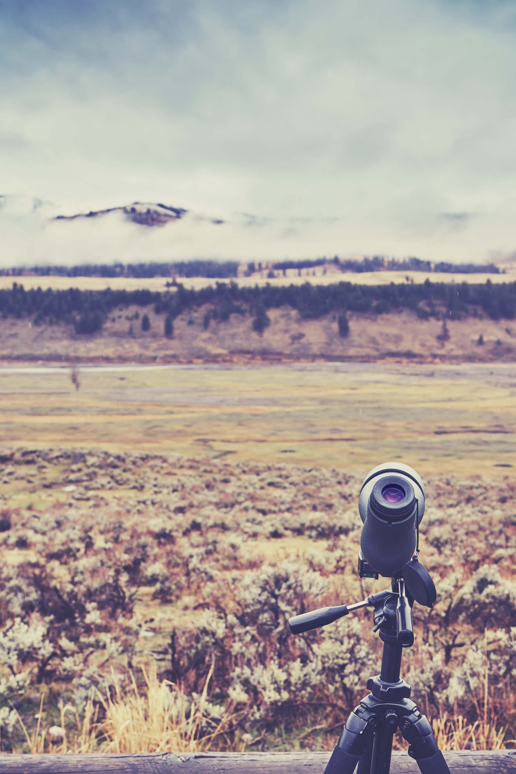 Vintage toned telescope used by wildlife watchers and hunters on a rainy day, selective focus.